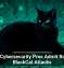 U.S. Cybersecurity Pros Admit Role in BlackCat Attacks